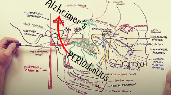 The Alzheimers Legacy Lab is located at the University of MN