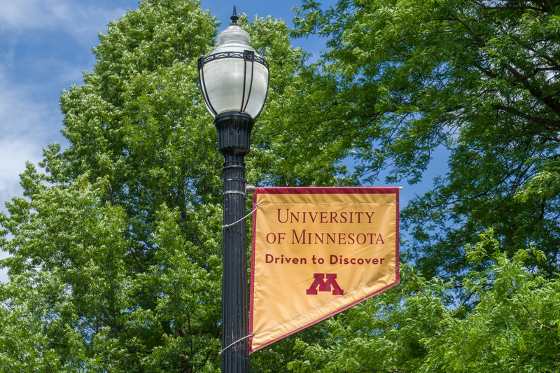 The University of Minnesota's Driven to discover flag on a light post on campus with trees behind