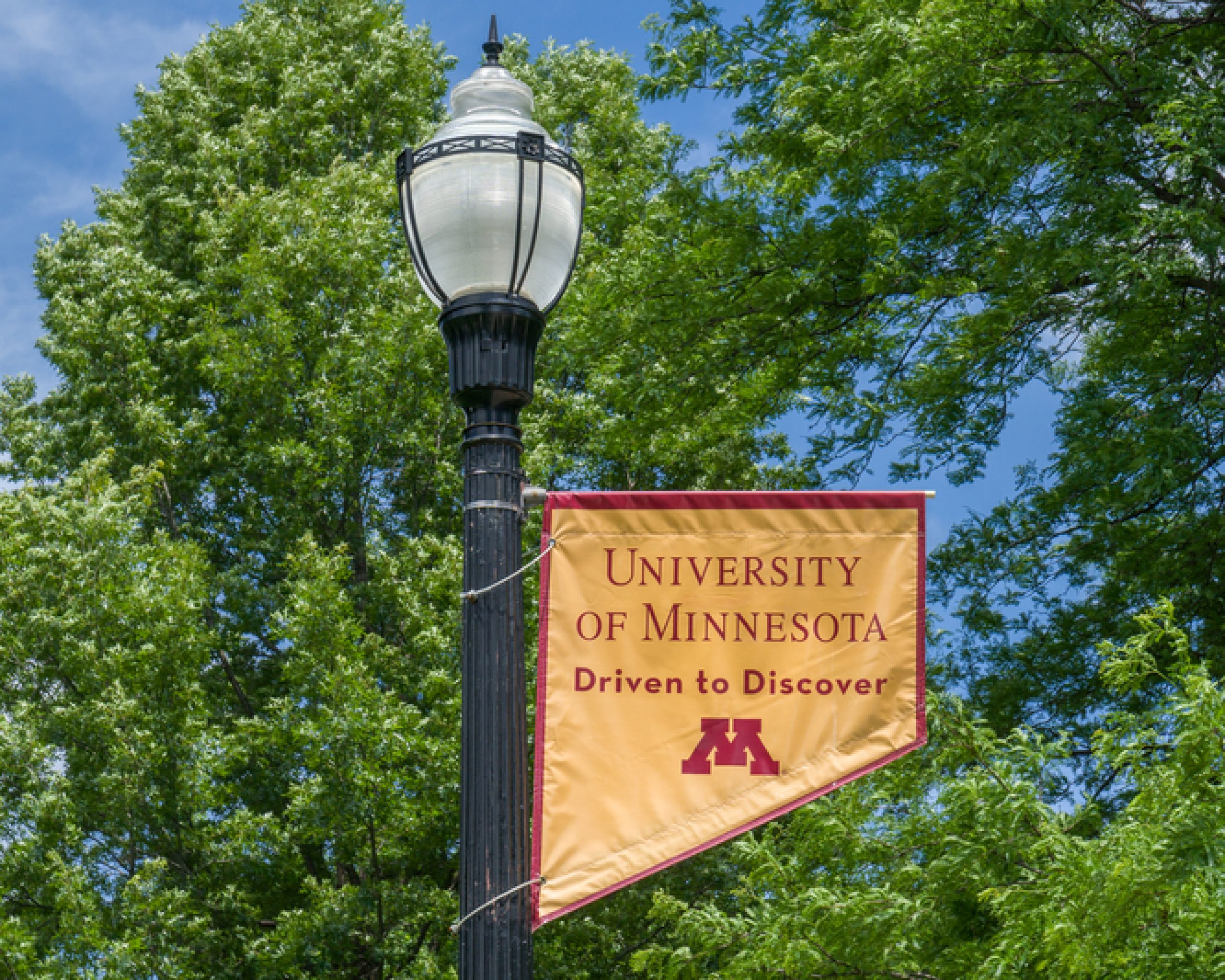 flag saying Driven to discover, hanging from a light post at the University of Minnesota